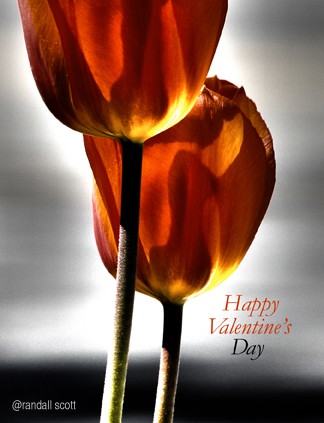 HAPPY VALENTINE'S DAY