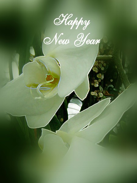 Happy New Year 2013 (Two)
