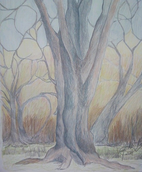 Spirit Tree
