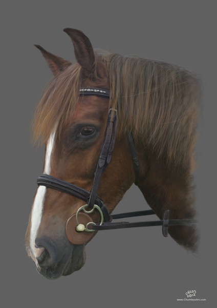Syd - equine painting
