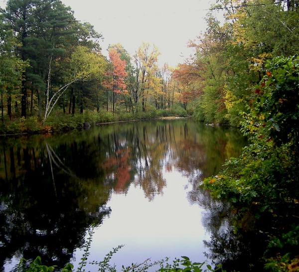 The Pond