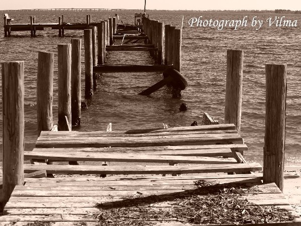 Brittled Shores #3