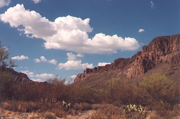 Tucson Mountain Scene
