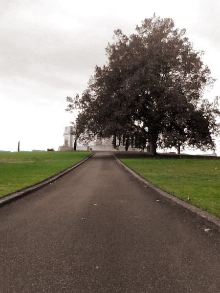 The Long Road to ... 