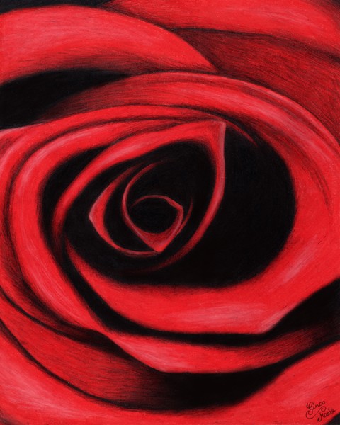 Scarlet Petals