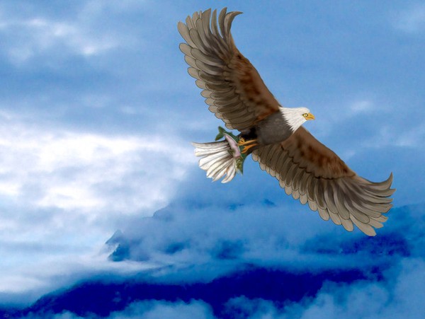 In flight
