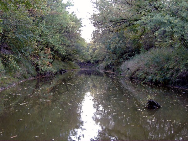 Tranquil