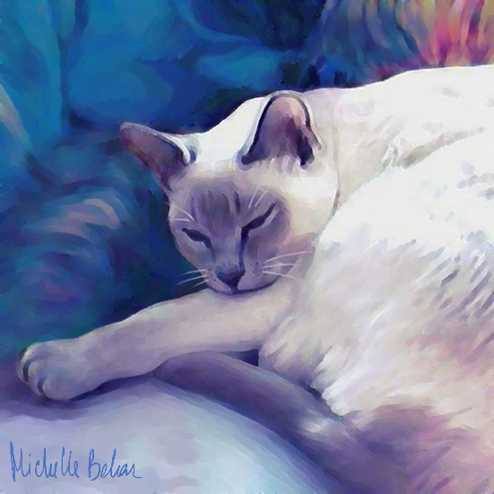 Sleeping Cat