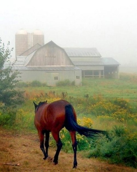 Facing the morning