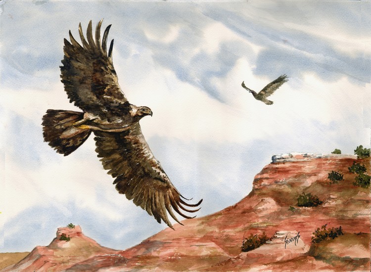 Golden Eagles in Flight