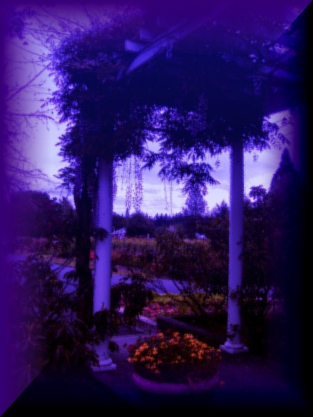 Twilight