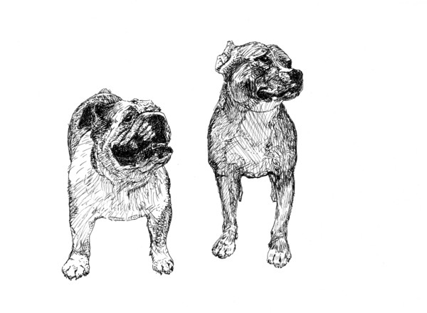 Dog Buddies