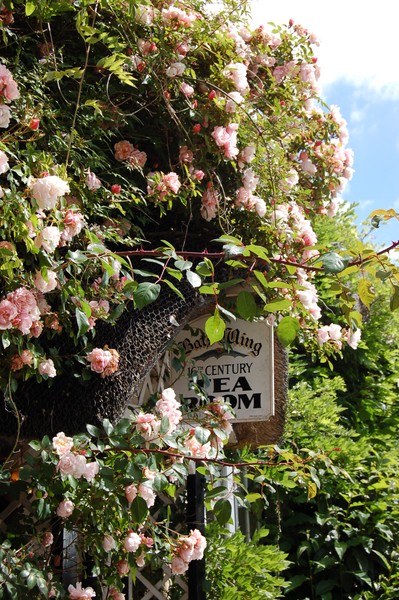 Tearooms