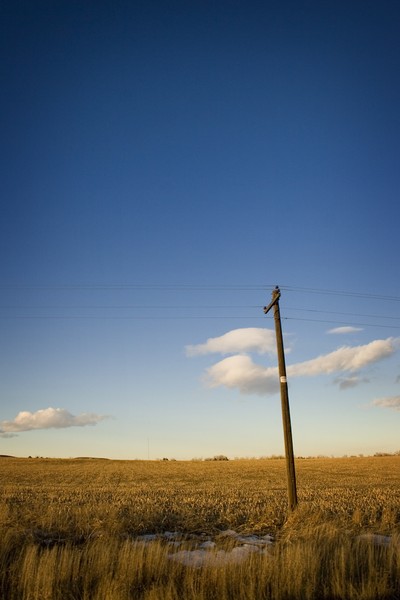 lone pole