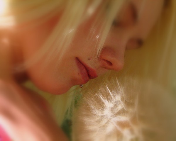 Dandelion