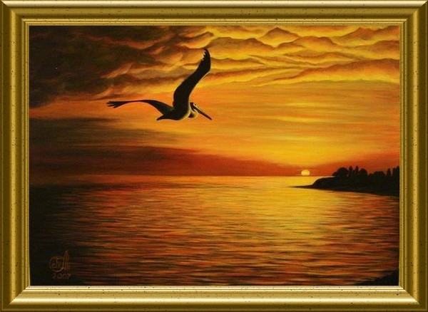 Pelican's Flight