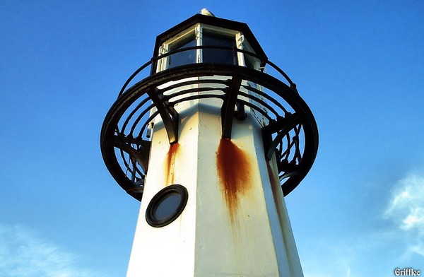 HARBOUR LIGHT AND GULL