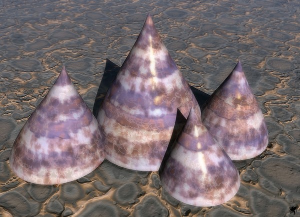 RELICS
