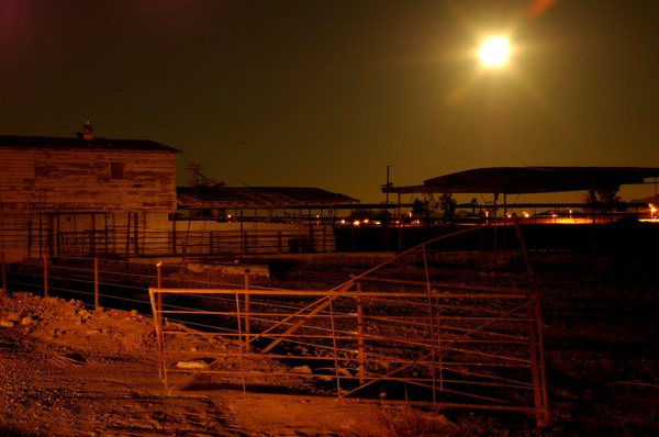 Bright Moon