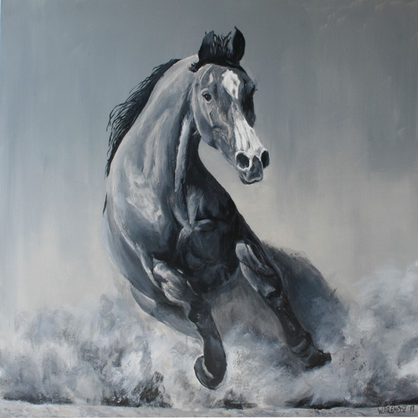 Wild horse