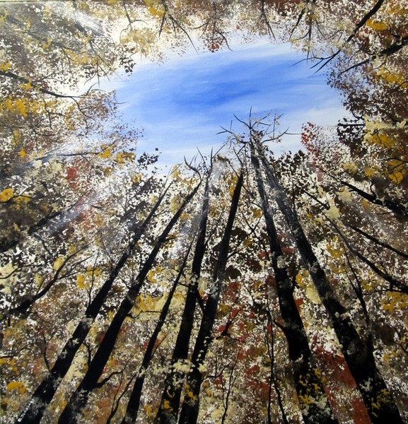 A Squirrels Eye View 