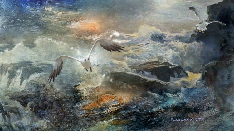 Waves Catching The Gulls *  2019 Kiddolucaslee