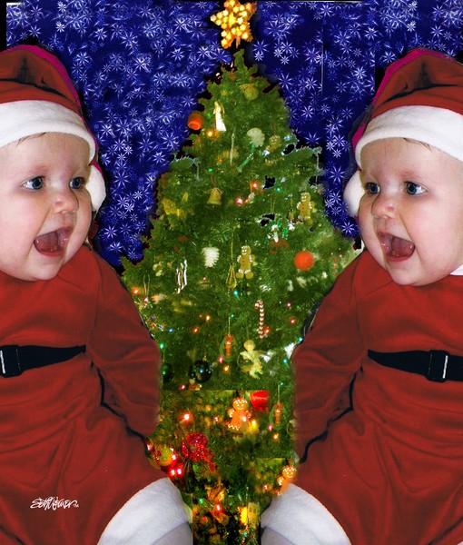 Gracie's Christmas Tree