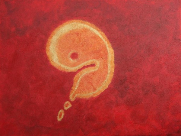 Embryonic Thoughts