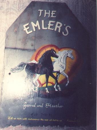 Welcome Horses