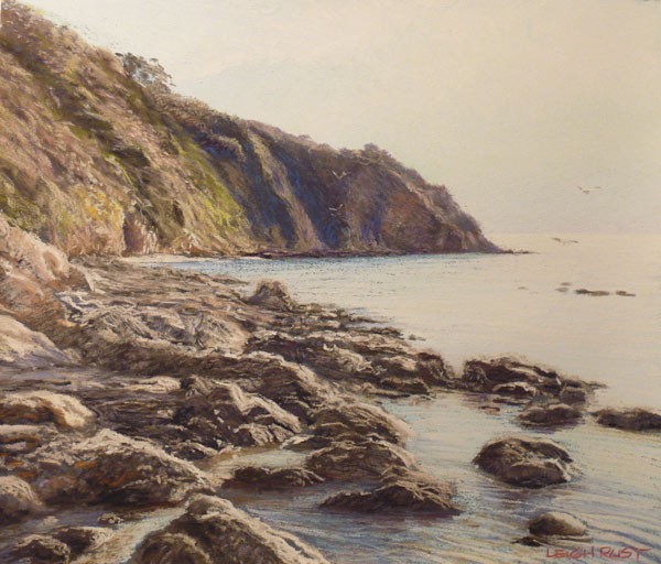 Return to the rockpools