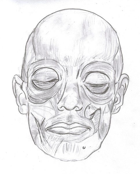 Mr' NoFlesh