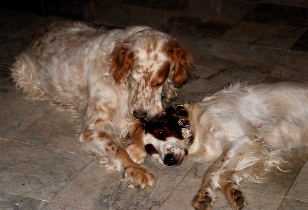 Tender Moment