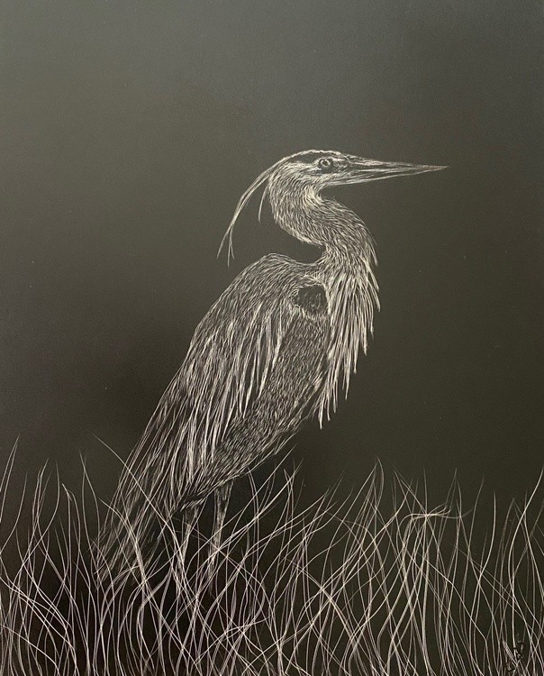 Great Blue Heron