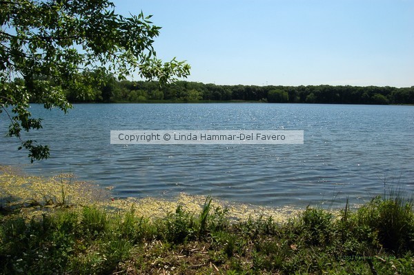 Wampum Lake in the Spring