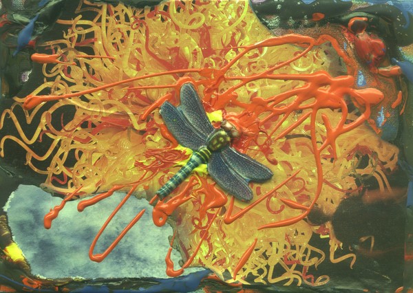 fireflyjellyfishfry