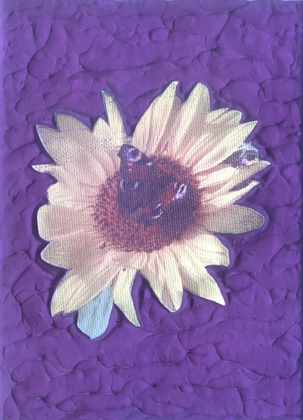 British bumblebee and butterfly on a Sunflower