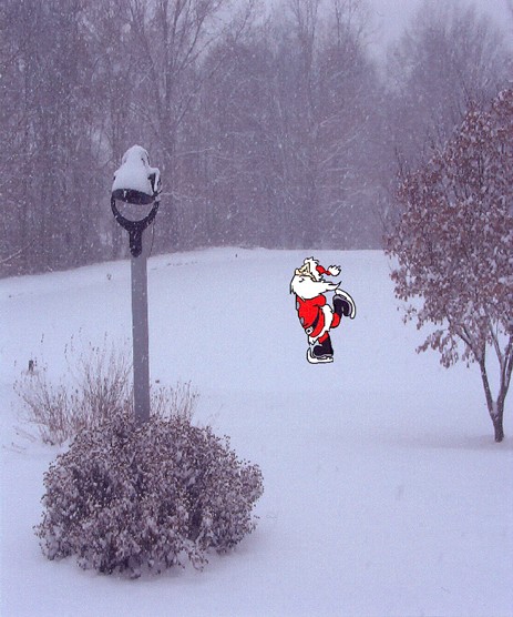 Santa Skating on my Pond