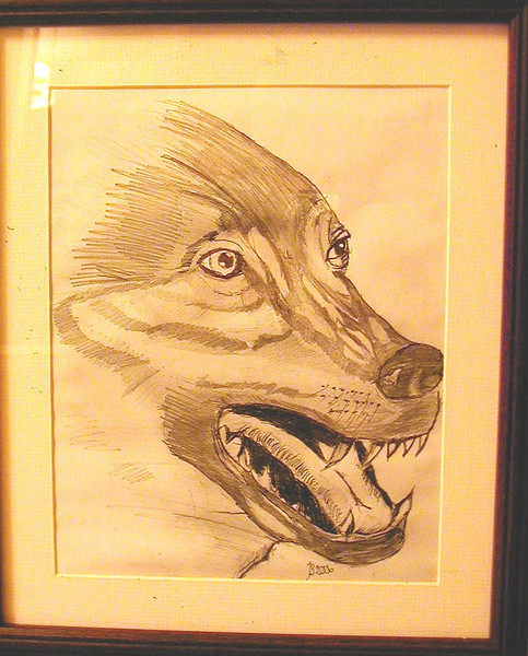 Wolf  Growling