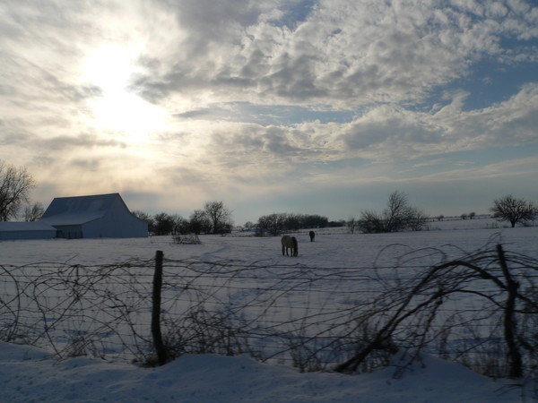 Wintery Morning
