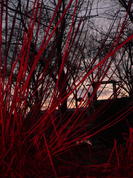 Red Night