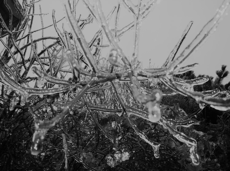 Ice Storm 2016