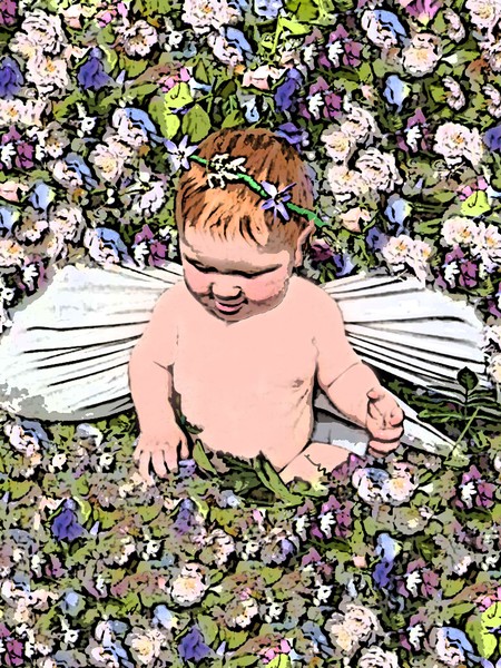 flower fairy