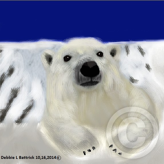 Polar Bear