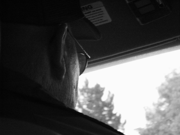 Grandpa Driving 