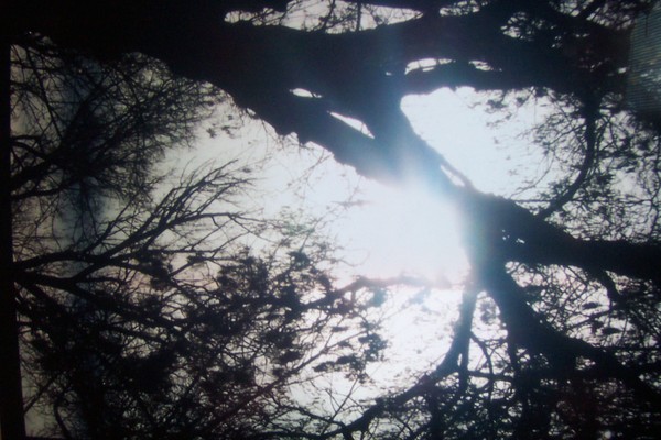 Eclipse of the Sun