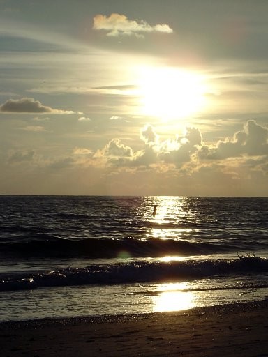 Sunset At Maderia
