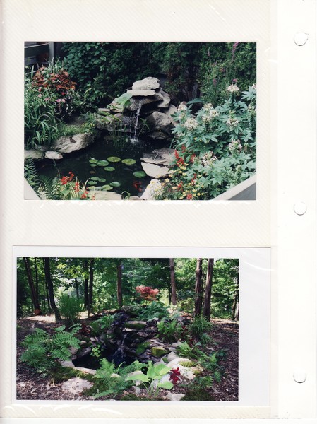 pond3