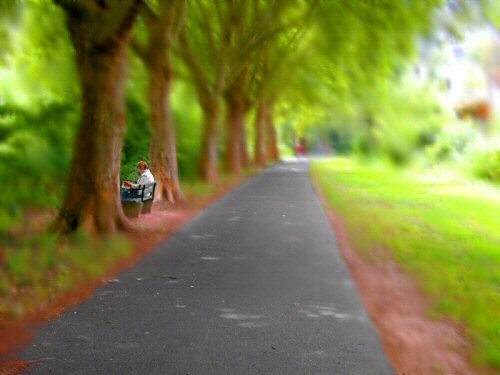 AllLifeIsOutside