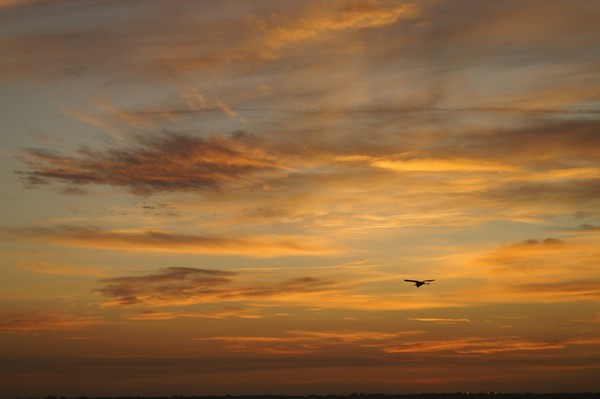 sunrise in florida
