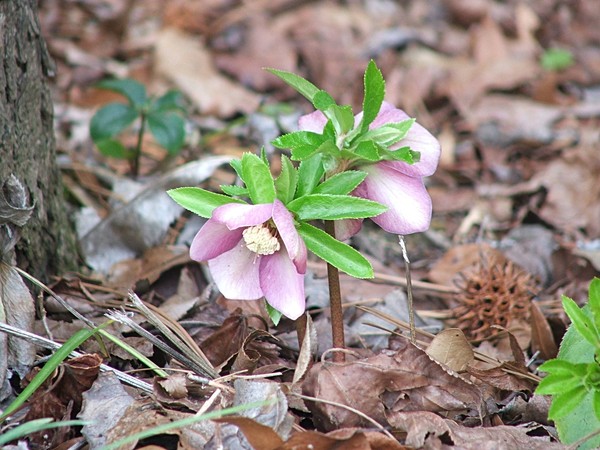 Spring's comin'!